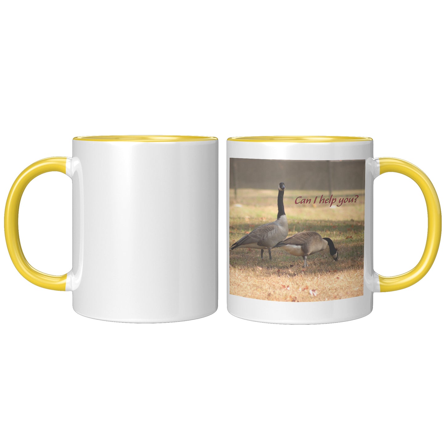 Can I help you? - 11 ounce Mug with Custom Lettering - Signs and Seasons Gifts
