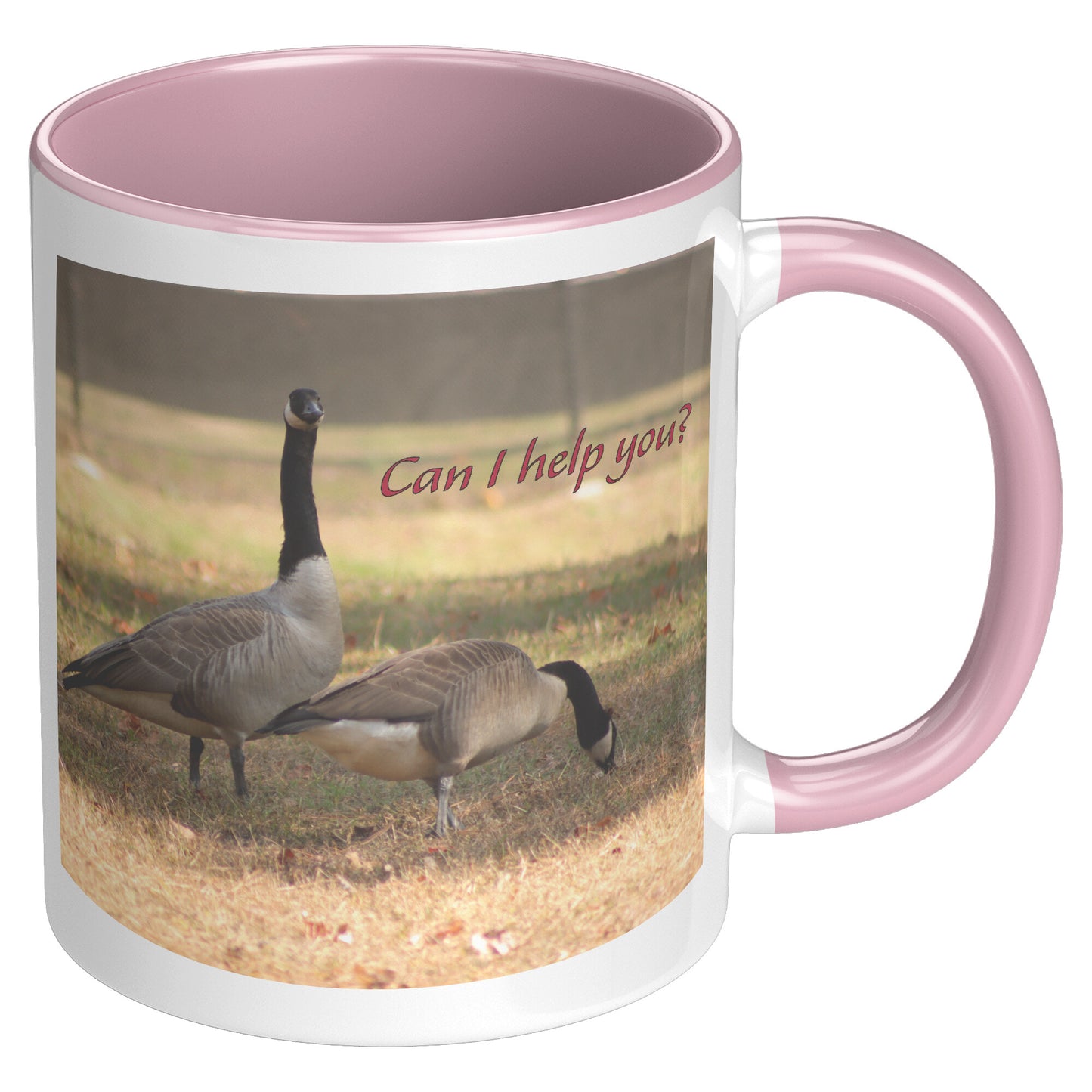 Can I help you? - 11 ounce Mug with Custom Lettering - Signs and Seasons Gifts