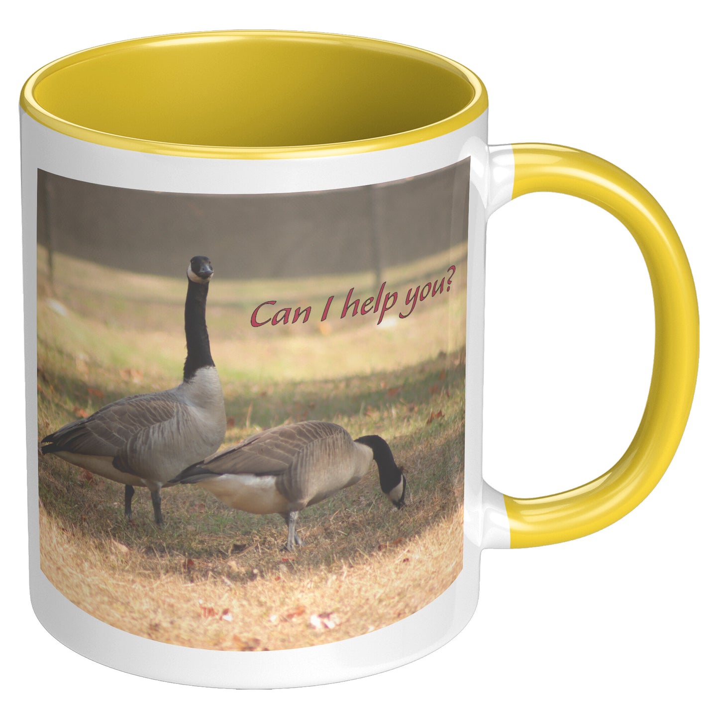 Can I help you? - 11 ounce Mug with Custom Lettering - Signs and Seasons Gifts