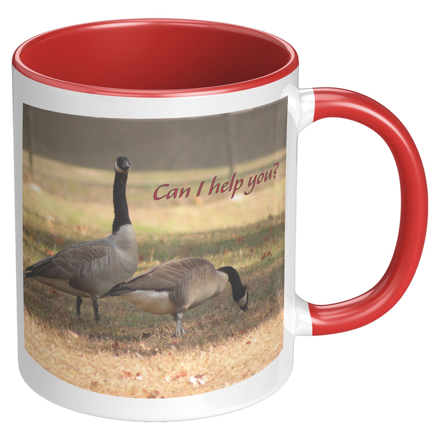 Can I help you? - 11 ounce Mug with Custom Lettering - Signs and Seasons Gifts